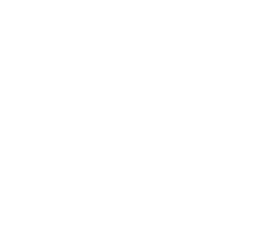 Bimatec logo (white)